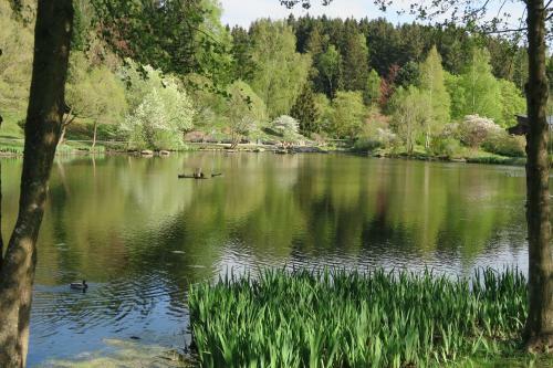 Apartamento Harzgenu�