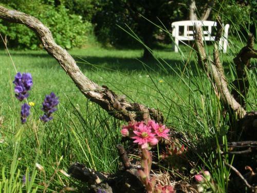 Seawind Cottage - Apartment Seehund