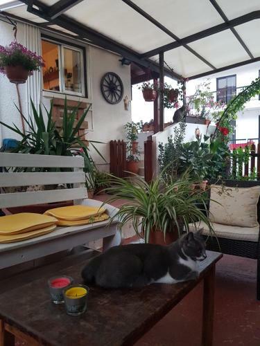 Apartamento Estia Vasilis Manoli