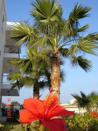 Apartamento Sunny Garden Limassol Star