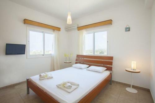 ?imagine Renting A Villa With Very Large Pool? Protaras Villa 98