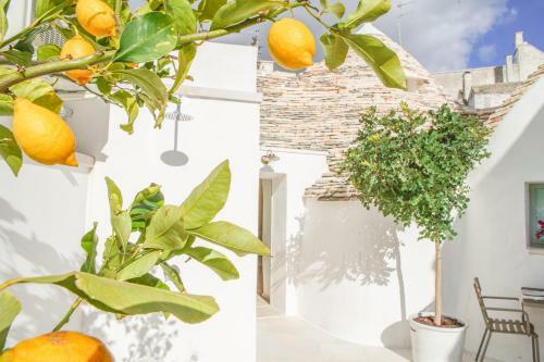 Bed & Breakfast Trulli Ant� Charme & Relax