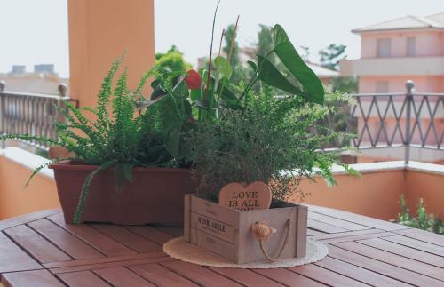 Apartamento Splendido Appartamento Ad Alghero