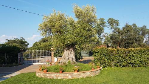 Bed & Breakfast Casal Sant'elena