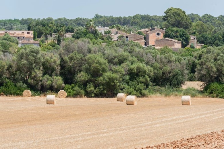 Petit Hotel Rural Son Jord�