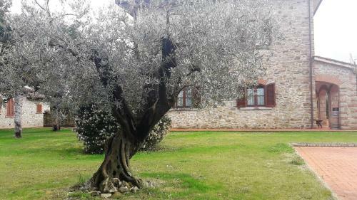 B&B Borgo Del Contadino