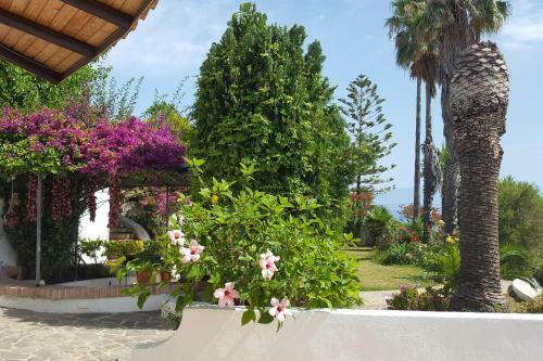 Apartamento Residence Albatros