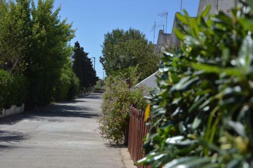 Apartamento Appartamento Sardegna