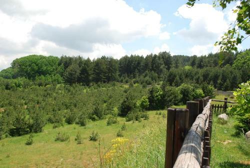 Apartamento Antica Stalla Paese
