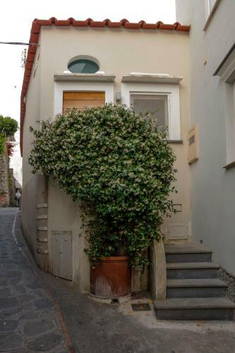 Casa Piccola