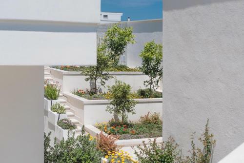 Apartamento Calura Residence