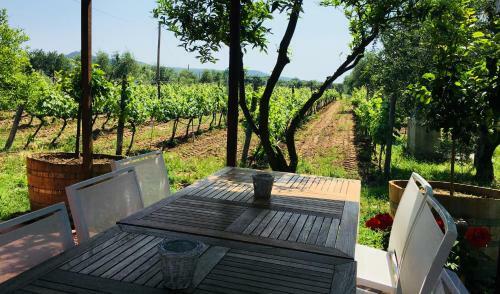 Agroturismo La Cipriana