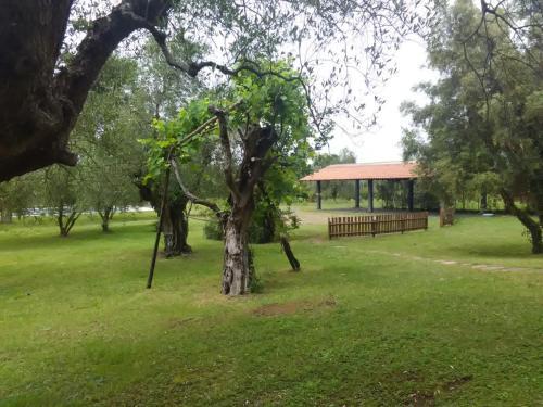 Agroturismo Agriturismo Il Vignone