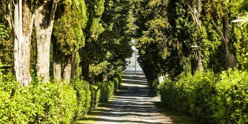 Il Castagno D'andrea Villa Sleeps 16 Pool