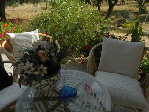 Bed & Breakfast Uliveto House