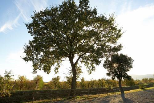 Agroturismo Agriturismo Lucerna Del Lago Prile