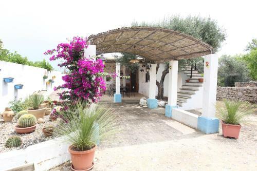 Agroturismo Casa Cosimi