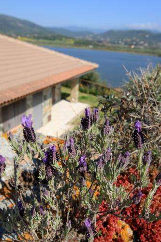Case Sul Mare Residenze Di Bes