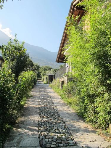 Apartamento Locazione Turistica Casa Uni-c� (cco493)