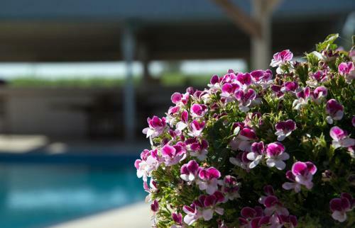Agroturismo Locanda Cos
