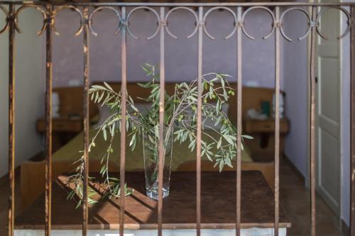 Apartment In Vasto/abruzzen 33425