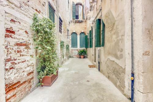 Apartamento Ca' Dente Di Leone