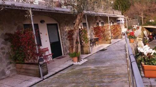 Hostal Affittacamere Arabafenice