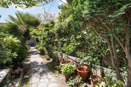 Apartamento Il Covino