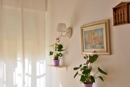 Florinda B&B Viareggio