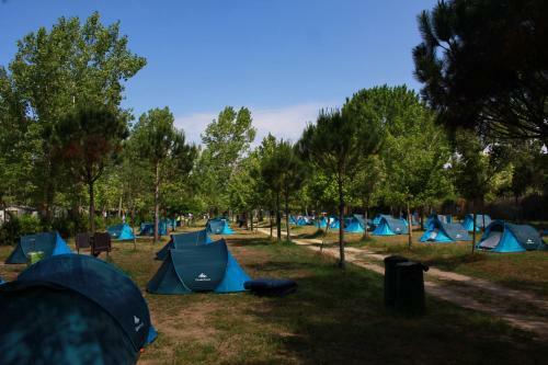 Campeggio Boscoverde