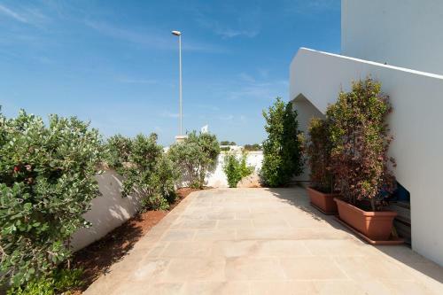 Broom Apartment