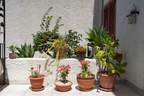 Giotto Apartment