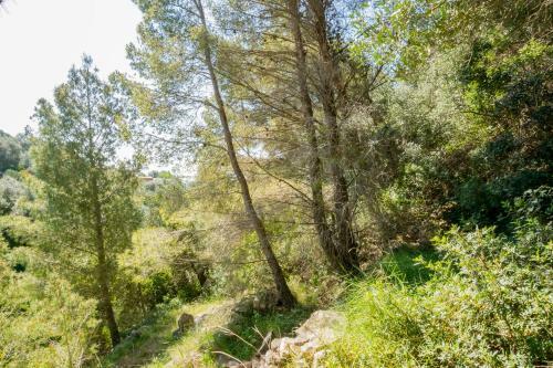 Apartamento Villa Ilios