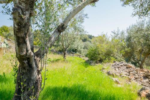 Apartamento Villa Ilios