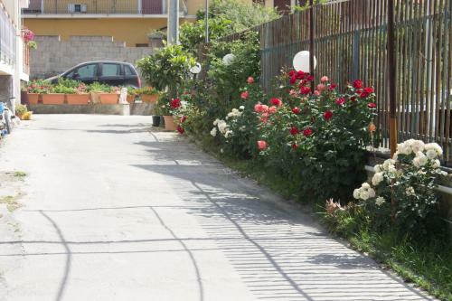Casa Delle Rose