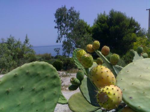 Monolocale Del 500 Nel Salento