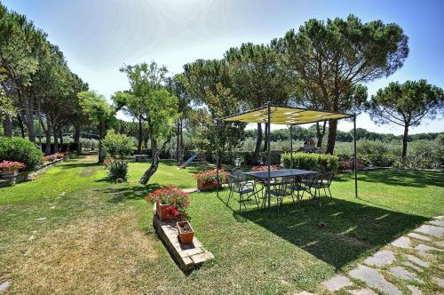 Vernazzano Basso Apartment Sleeps 6 Pool Wifi