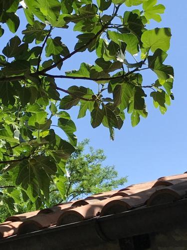 Apartamento Villa Roccaccia