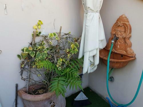Apartamento Roof Garden