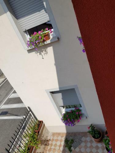 Bed & Breakfast Al Fari - Pensione.