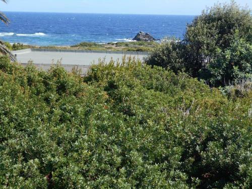 Le Case Punta Negra