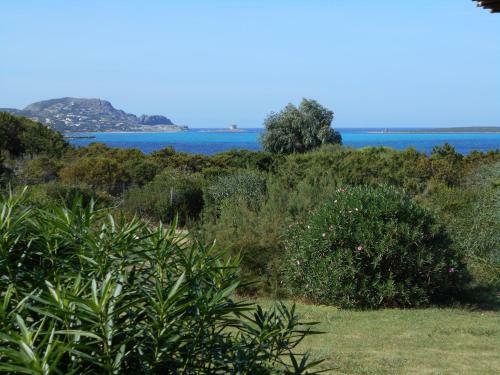 Le Case Punta Negra