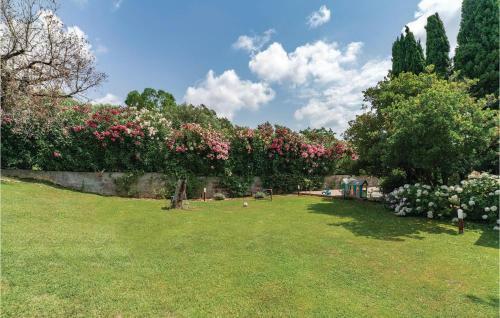 Il Giardino Di Camilla