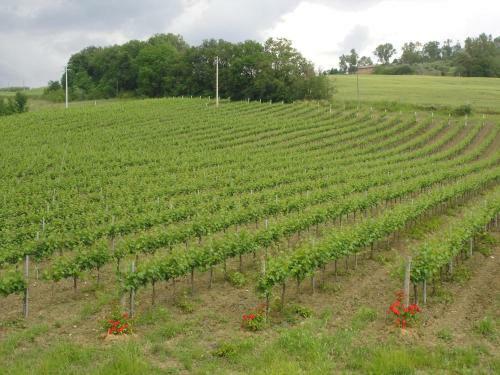 Agroturismo Agriturismo Borgo Montecucco