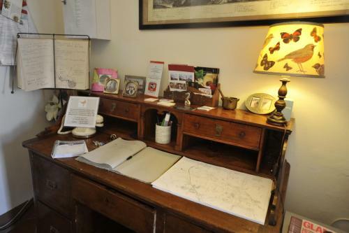Agroturismo B&B Il Pettirosso Di Siena