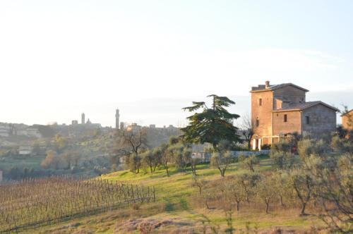 Agroturismo Limonaia- Santa10