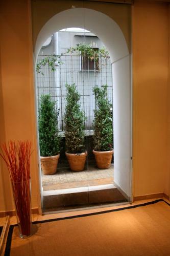 Hostal Sorrento Apartments One