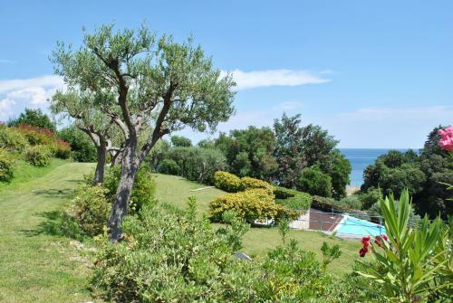 Luxury Design Villas With Pool And Sea View