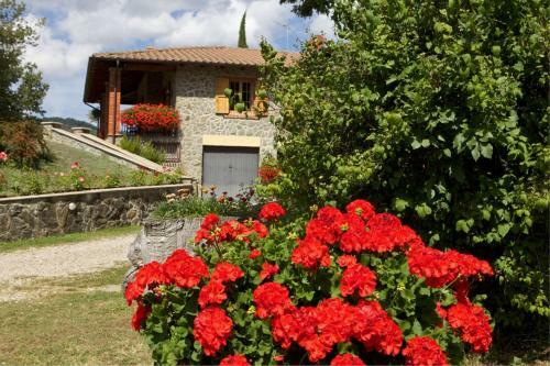 Ponte Biforco Villa Sleeps 8 Pool Wifi