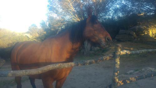 Agroturismo Monti Ruju